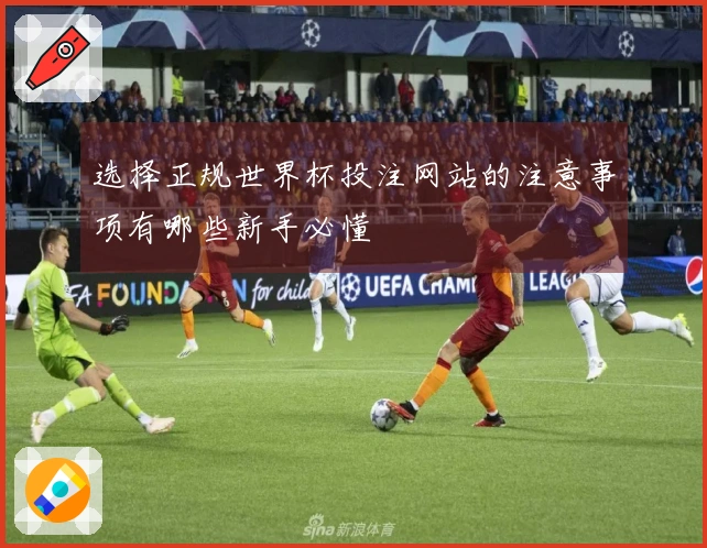 选择正规世界杯投注网站的注意事项有哪些新手必懂
