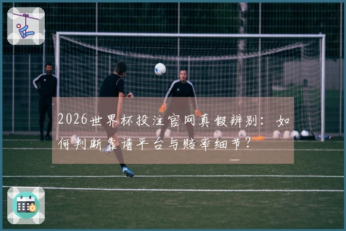 2026世界杯投注官网真假辨别：如何判断靠谱平台与赔率细节？
