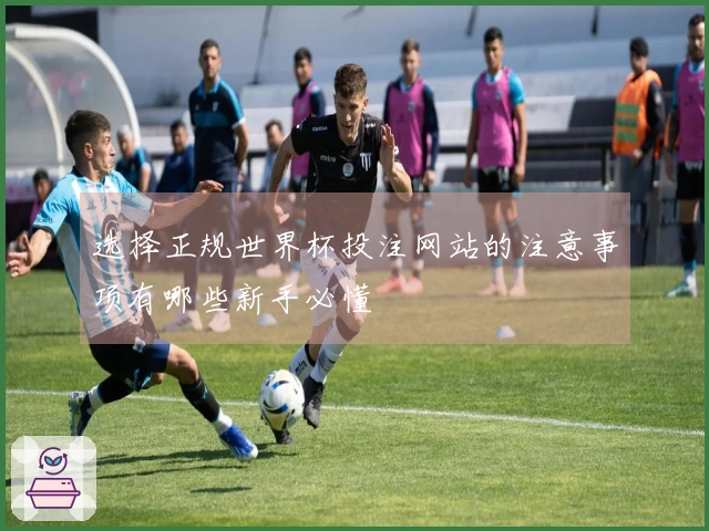 选择正规世界杯投注网站的注意事项有哪些新手必懂