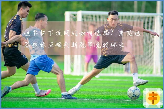 世界杯下注网站如何选择？看完这篇教你正确判断冠军竞猜玩法