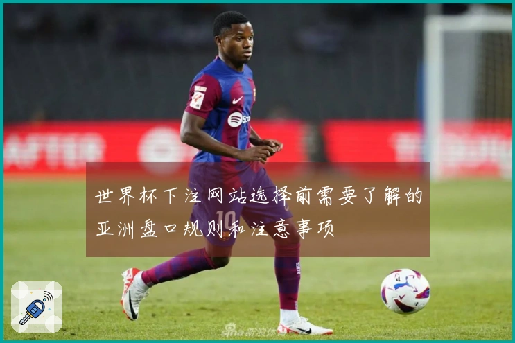 世界杯下注网站选择前需要了解的亚洲盘口规则和注意事项